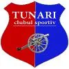 图纳里