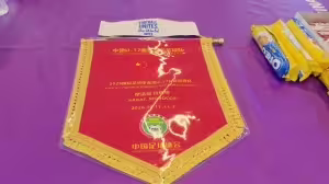 U17女足主帅马晓旭喊话：你们已经创造了历史 希望我们能走得更远